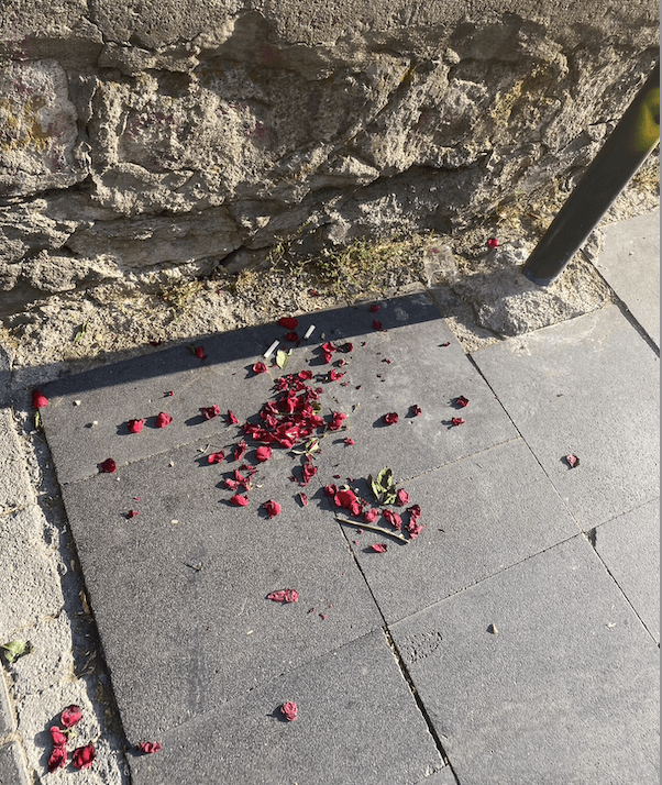 Screen Shot 2024-02-23 at 12.54.20.png